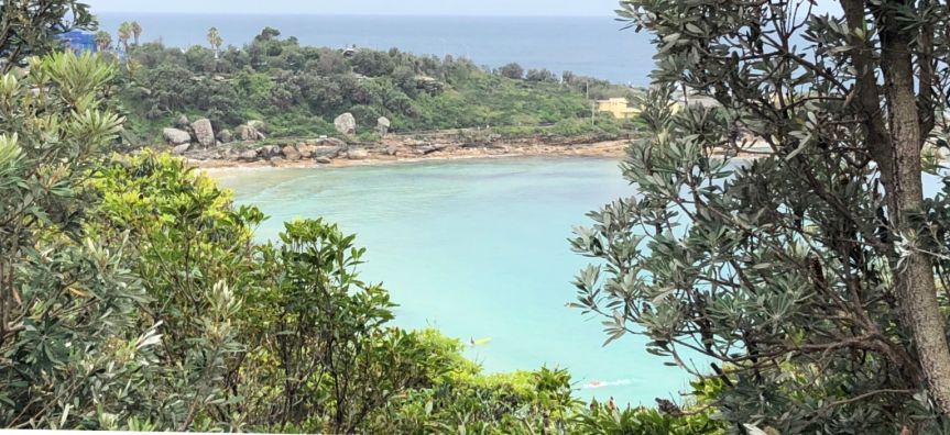 Freshwater View Reserve