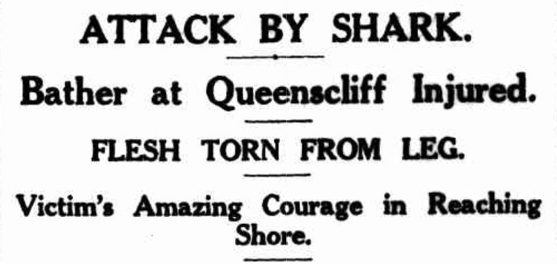 Attack at Queenscliff Rock pool