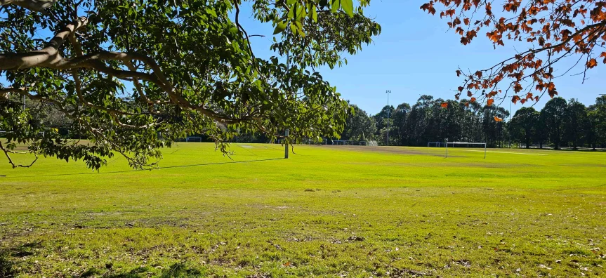 Sports fields at Miller Reserve in Manly Vale