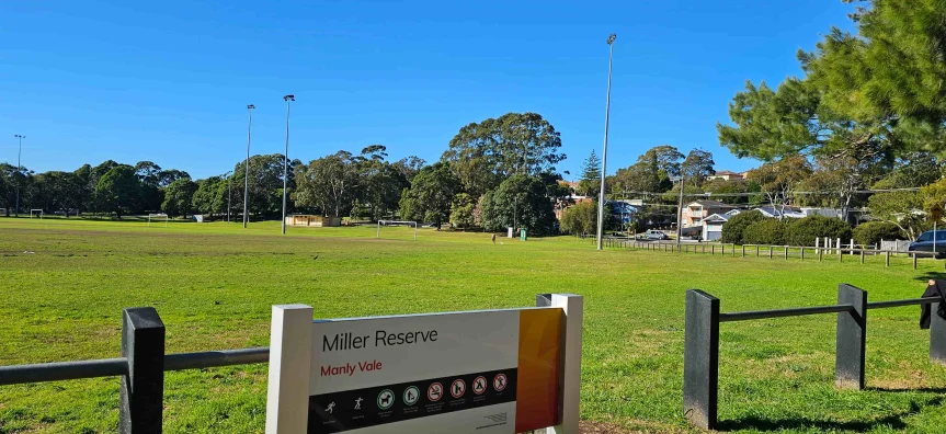 Existing skate park beside the reserve grounds